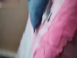 国产伦精品一区二区三区2,欧美精品在线观看