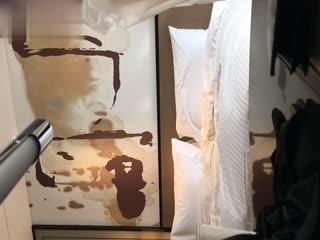 免费男女拍拍拍拍拍拍拍拍,亚洲日韩精品一区二区三区无码